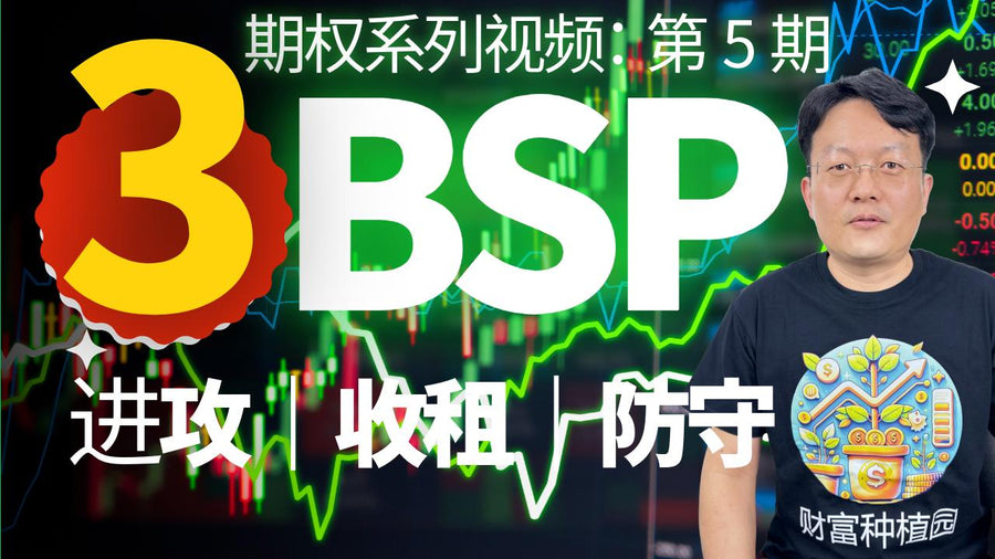 BSP期权策略：进攻、收租、防守三合一！2025最值得掌握的高级期权组合｜期权系列·第5期｜财富种植园