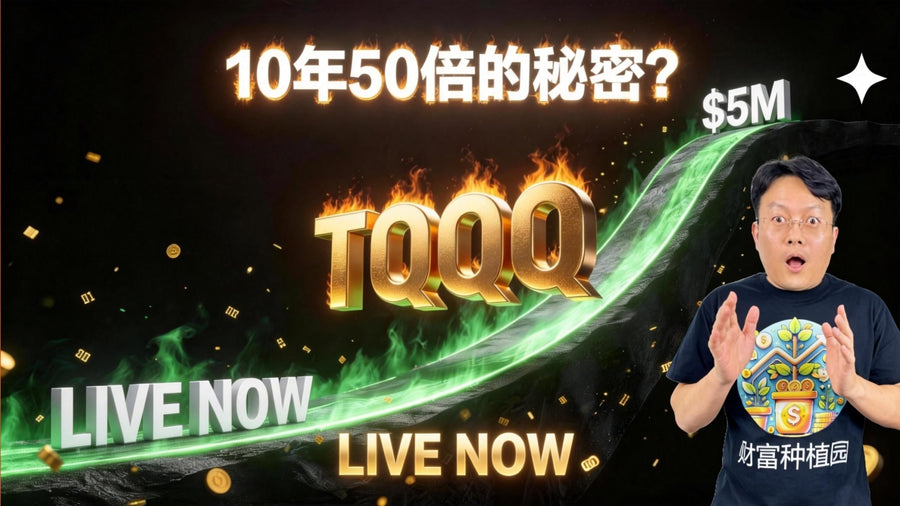 🔴 直播｜10年50倍｜TQQQ量化策略实操讲解 手把手演示+代码领取｜财富种植园